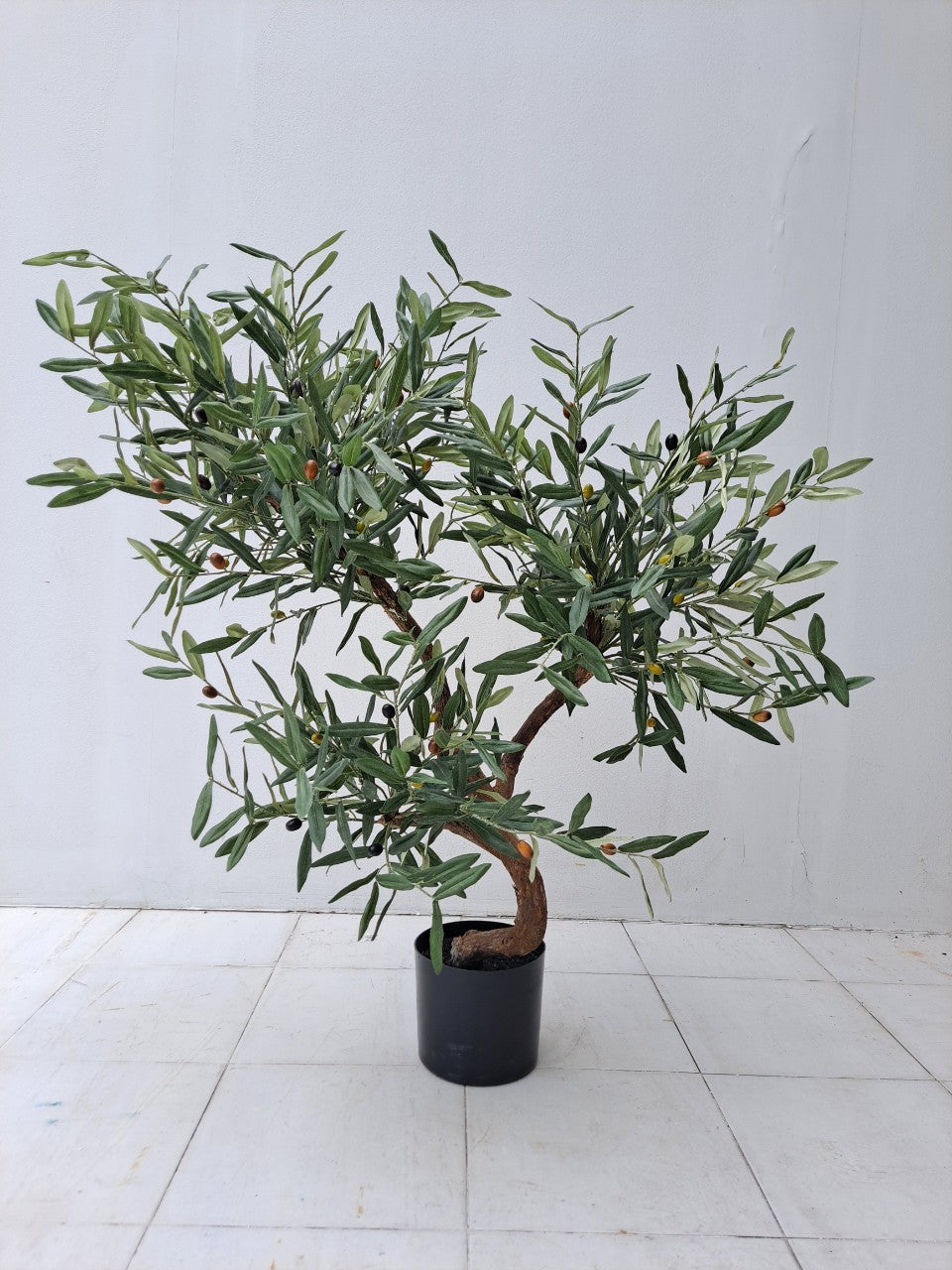 Signature Olive Tree